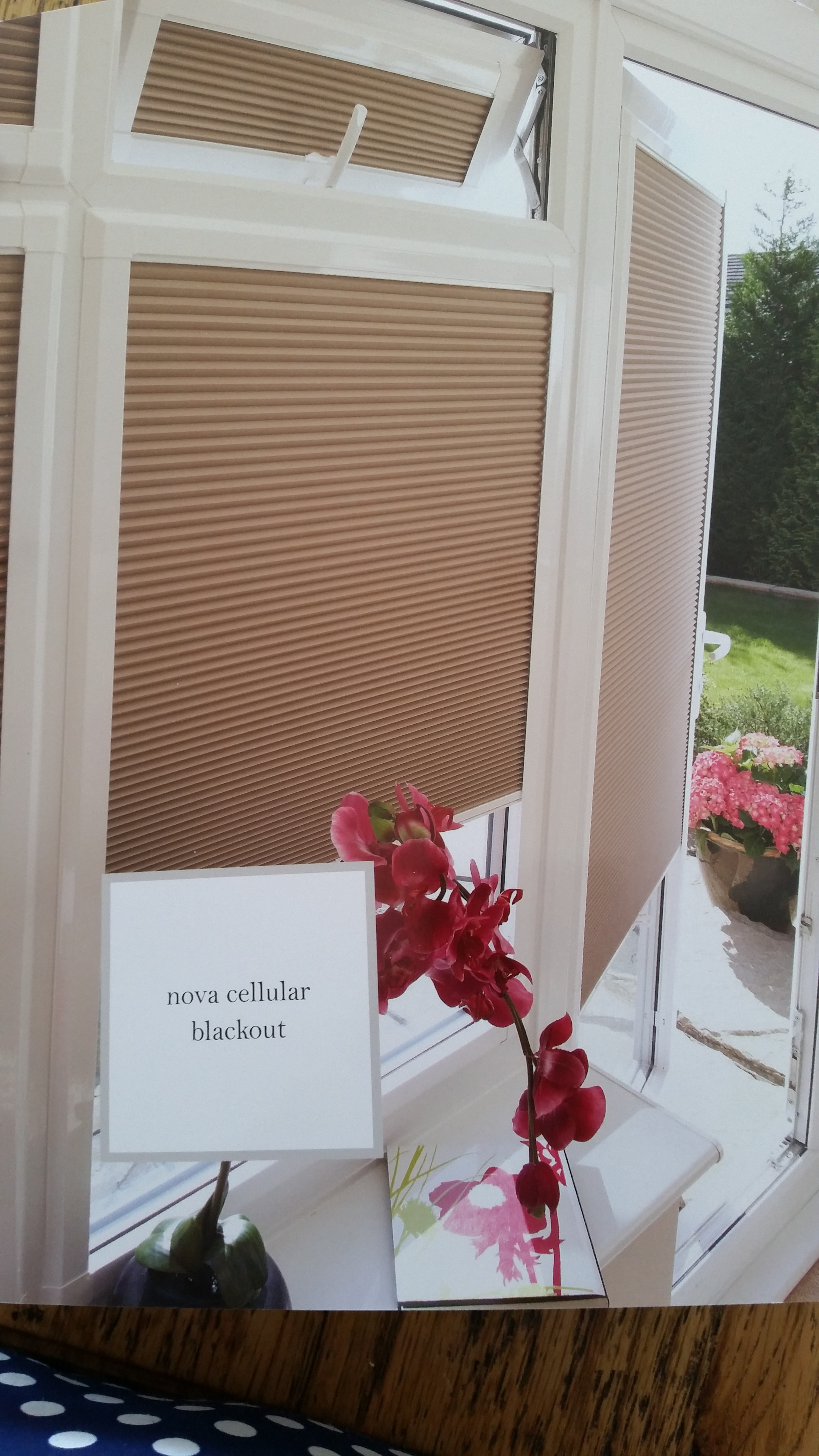 Blinds Cellular Blinds