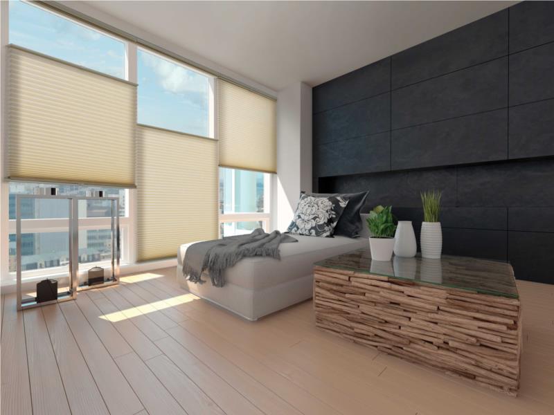 Whisper honeycomb shades top down bottom up light filter