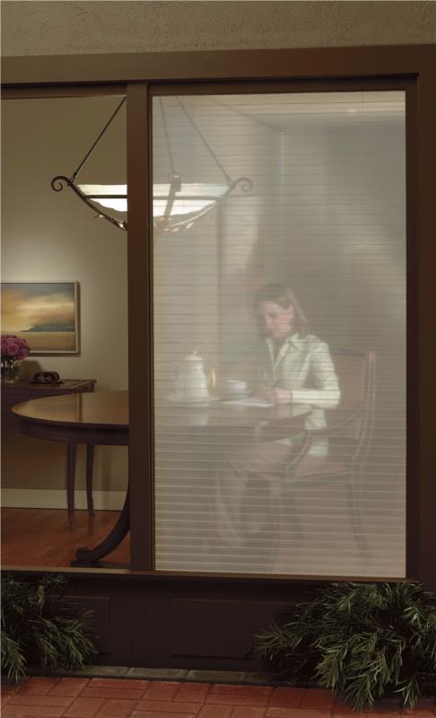Whisper sheer honeycomb shade